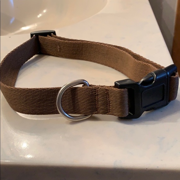 Dog collar - Picture 2 of 2